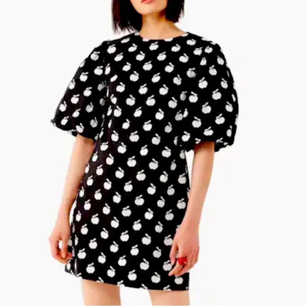 Kate Spade Apple Toss Taxi Dress NWT